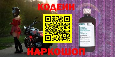 хмурый Дубна