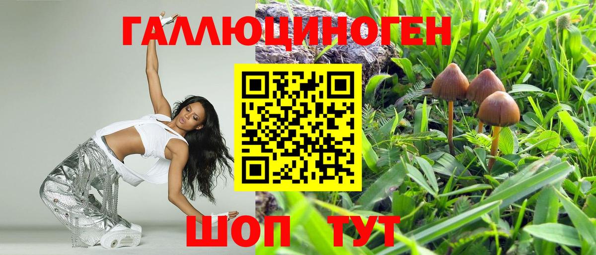 Псилоцибиновые грибы Magic Shrooms  Вход с VPN  Междуреченск  Псилоцибиновые грибы Psilocybe 