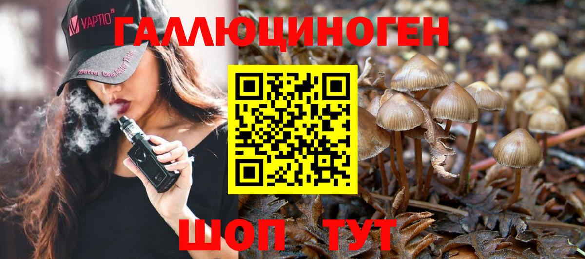Псилоцибиновые грибы мицелий Междуреченск